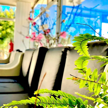 阿尔布费拉花园酒店 3*