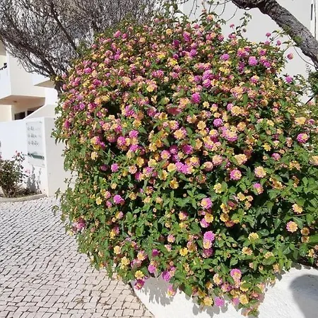 Jardim Lägenhetshotell 3*