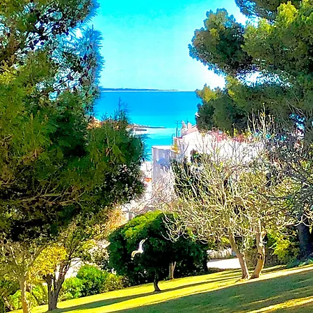 מלון דירות Jardim