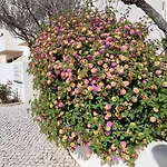 Jardim Aparthotel 3*