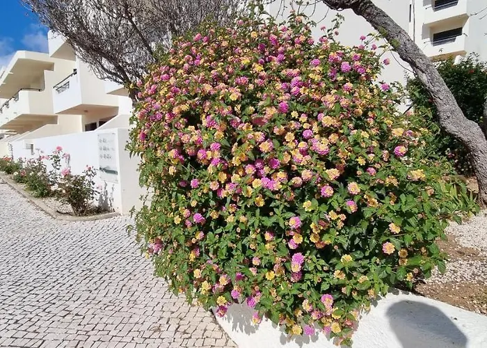 Jardim Апарт-готель 3*